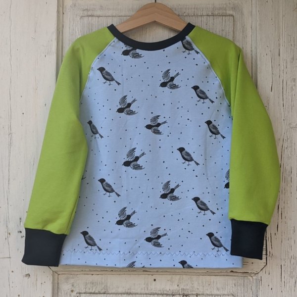 Bio Sweatshirt, BioSweat "Birds & Dots" hellblau